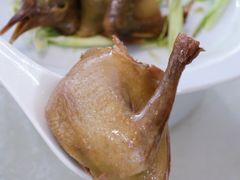青花椒香茅老井盐水乳鸽-云腾食府·云南菜