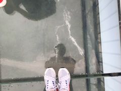 -梦幻奥陶纪景区