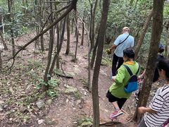 -紫金山山顶公园