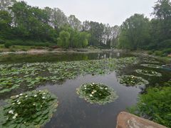 -棒棰岛宾馆景区