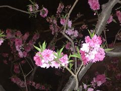 -语言大学-清真食堂