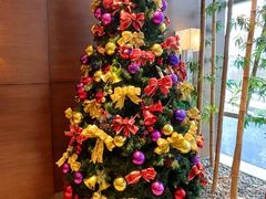 -皇朝尊会(龙之梦大酒店)