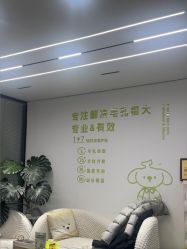 -凡碧诗毛孔清洁收细