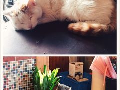 -B.O.M波姆烘焙(凤凰街店)