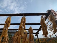 -塔川景区