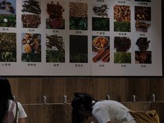 -广东中医药博物馆