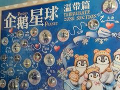 -海合安武汉极地海洋公园