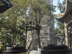 -江心屿景区