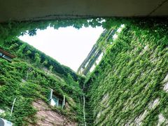 -燕鸣岛