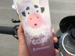 -一只酸奶牛(双流万达广场店)