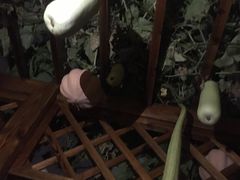 -北京湖广会馆