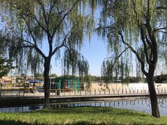 -石家庄市植物园