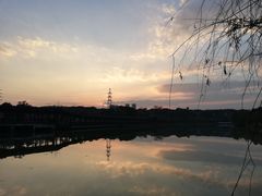 -八大山人梅湖景区