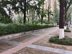 -龙头寺公园