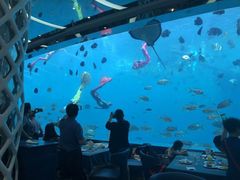 -瑞德姆美人鱼海底演艺主题餐厅(亚龙湾店)
