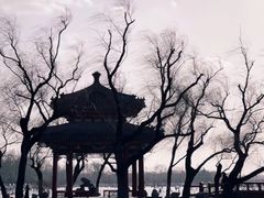 -颐和园