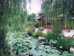 -武清南湖绿博园