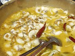 -蜀都丰 正宗水煮鱼(建德天城店)