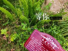 -梅州雁山湖国际花园度假区