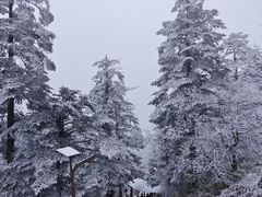 -峨眉山报国寺
