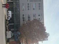 -西安电影制片厂