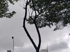 -豪庭居家居建材广场