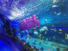 -大明湖海底世界