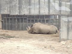 -新疆天山野生动物园