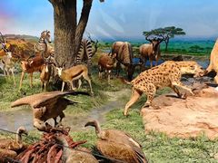 -国家自然博物馆