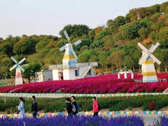 -松山湖梦幻百花洲