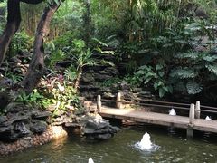 -晓港公园