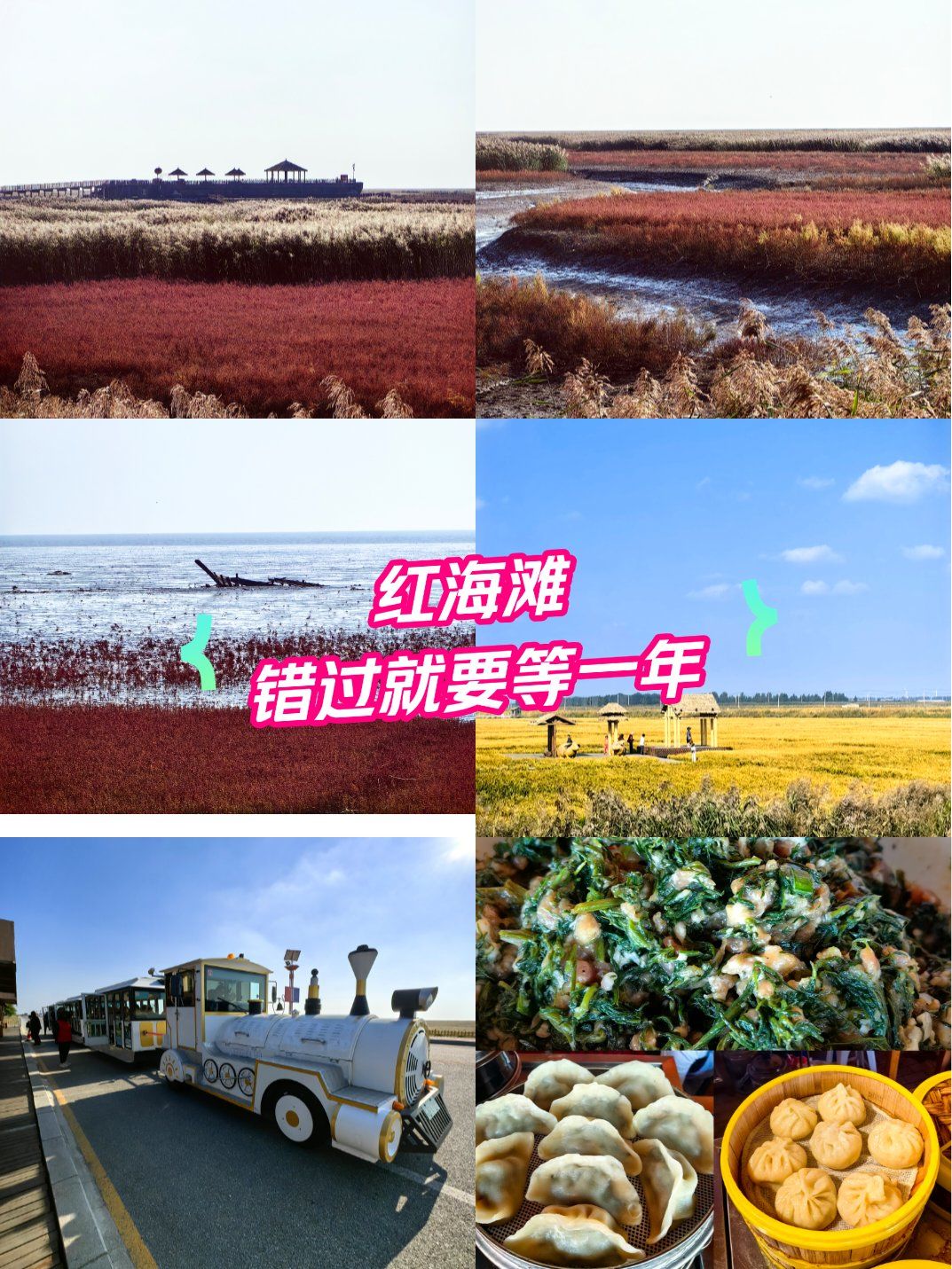 红海滩,错过就要等一年
