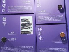 -中国湿地博物馆