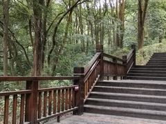 -天鹿湖森林公园