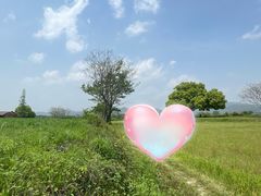 -良渚古城遗址公园