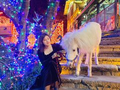 -巴倒烫陆派重庆火锅(南山店)