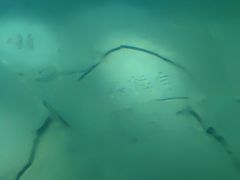 -白鹤梁水下博物馆