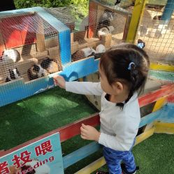 -萌宠亲子动物乐园(槐房万达店)