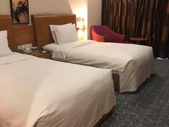 -北京望京华彩智选假日酒店