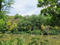 -云溪植物园