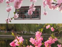 -满都海公园