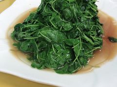 酒香草头-做了不起的80后