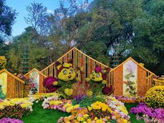 -上海共青森林公园