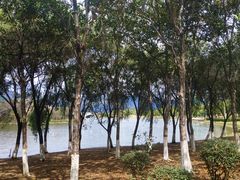 -飞来湖湿地公园
