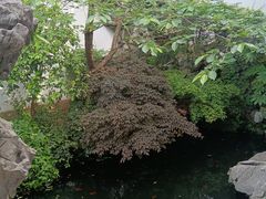 -胡雪岩故居