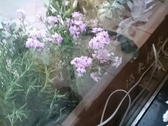 -西安曲江寒窑遗址公园