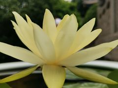 -西安市广仁寺