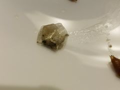 -浙江安吉JW万豪酒店·万豪中餐厅