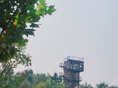 -东郊湿地公园