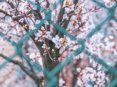 -西南民族大学南区(双流校区)